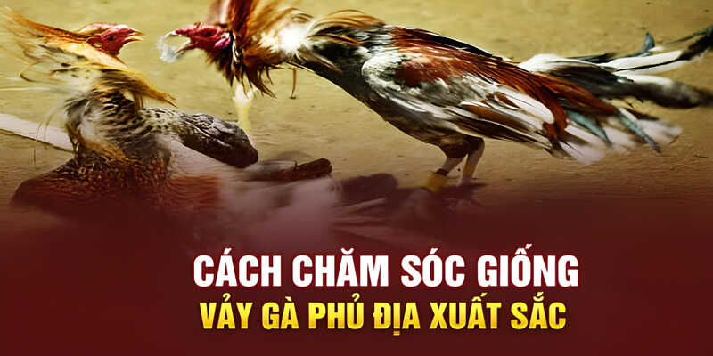 Hướng dẫn cách nuôi hiệu quả