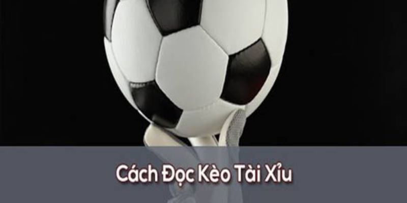 Cách đọc kèo tài xỉu 2 3/4 